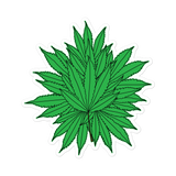 Marijuana Tree Star Sticker