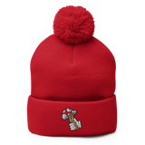 Boom Bite Pom-Pom Beanie