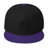 Black Fort Collins Snapback